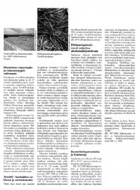 Tyvek&Acirc;&reg; -kankaiden rakenne ja ominaisuudet  &raquo; Klikkaa avataksesi suurempana ->